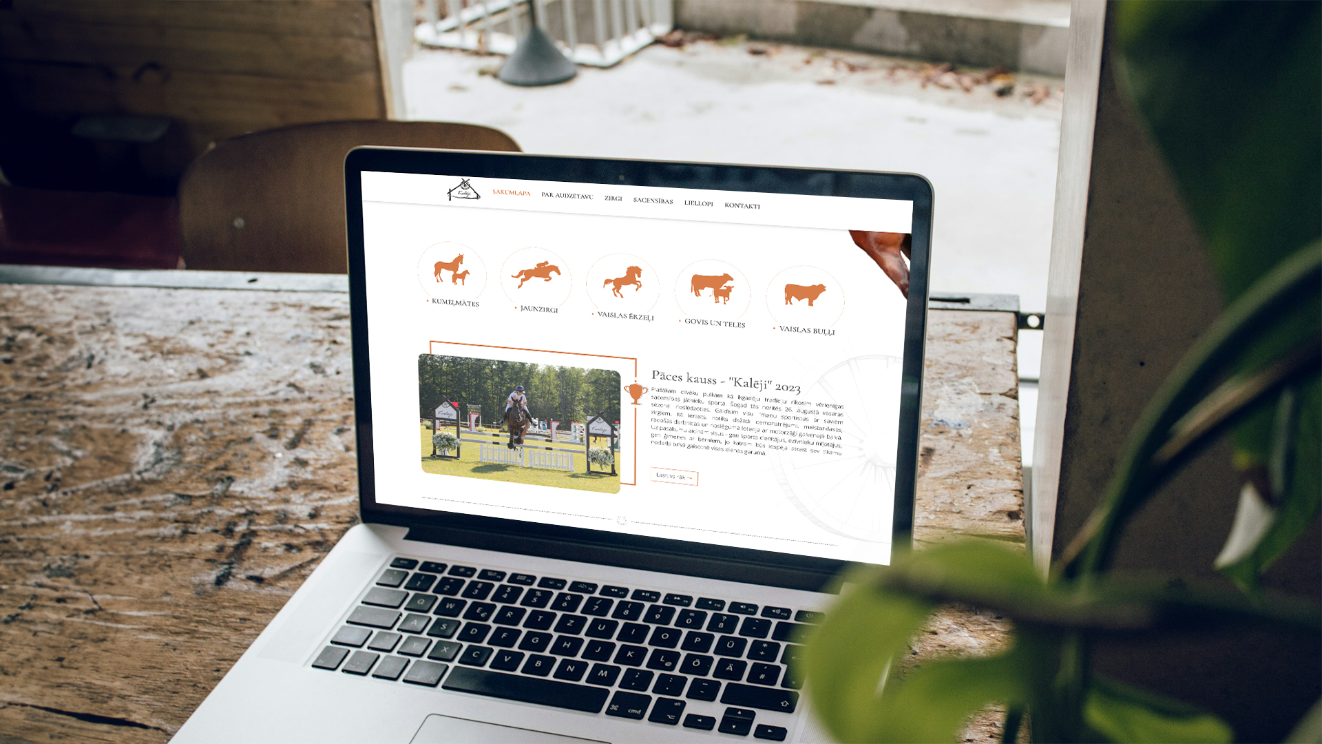 Pāce kalēji zirgaiudzētava tīmekļa vietne